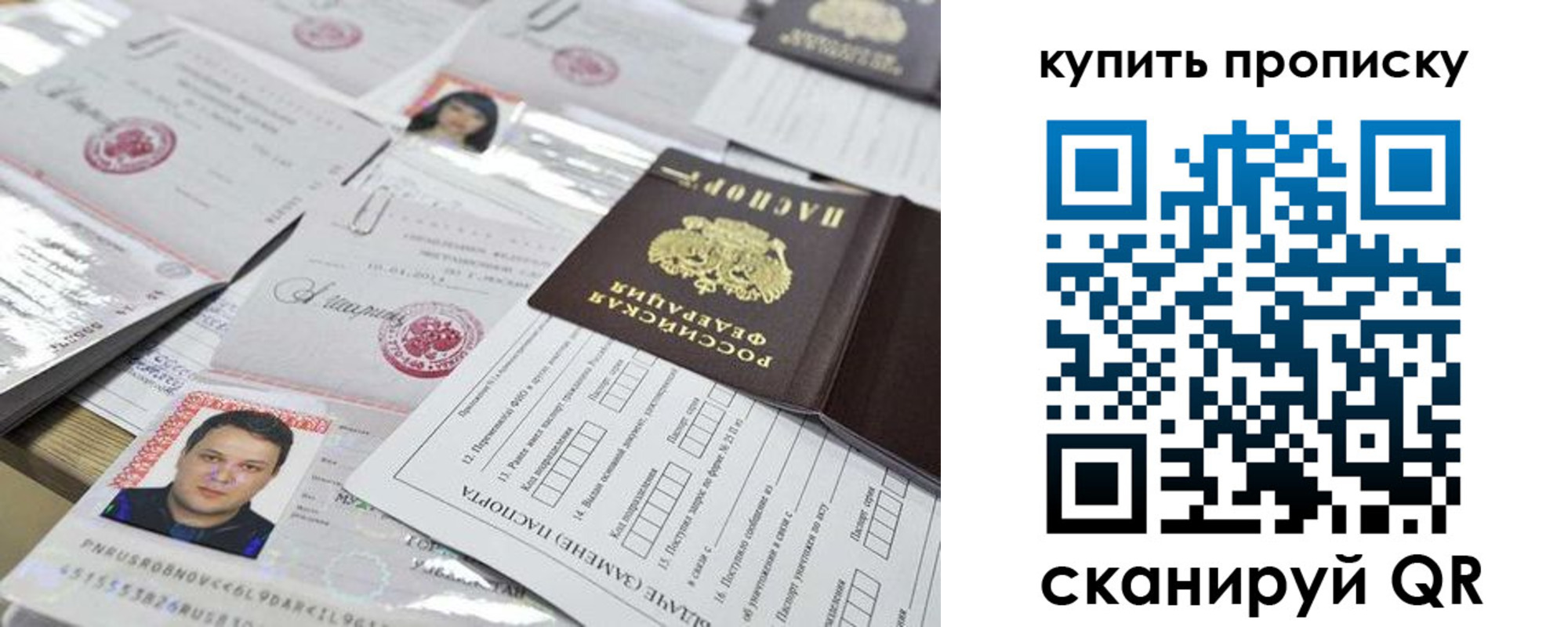 прописка гарантия в Вязьме